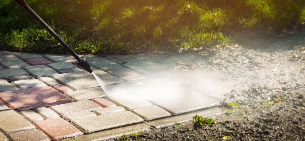 Best Soft Washing for Delicate Surfaces in Chadbourn, NC